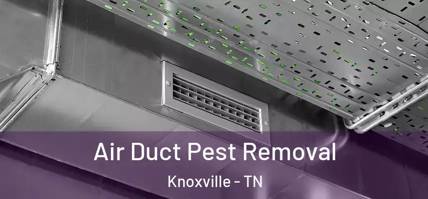  Air Duct Pest Removal Knoxville - TN
