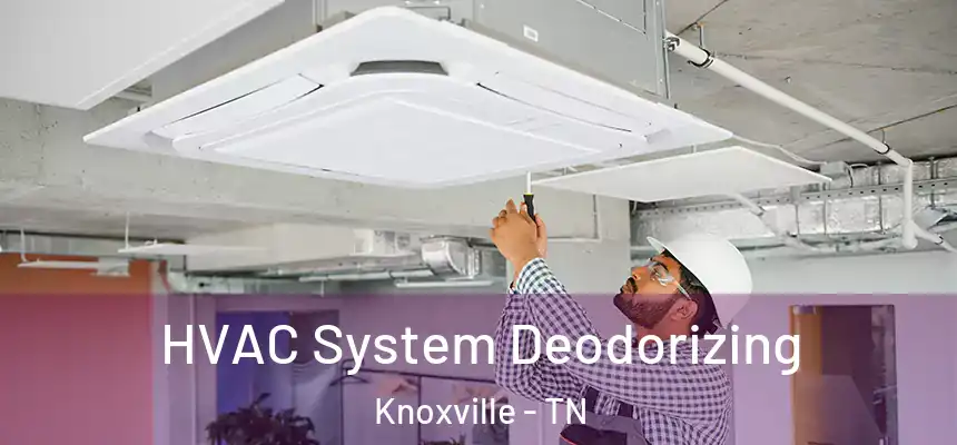  HVAC System Deodorizing Knoxville - TN
