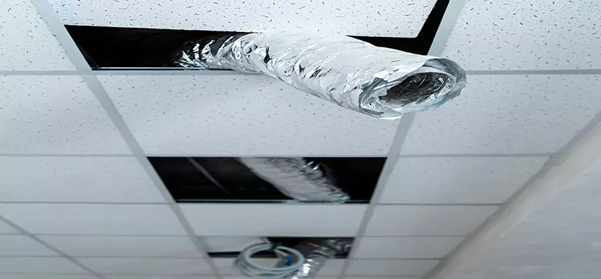 Our Air Duct Pet Hair Removal Services in Knoxville, TN