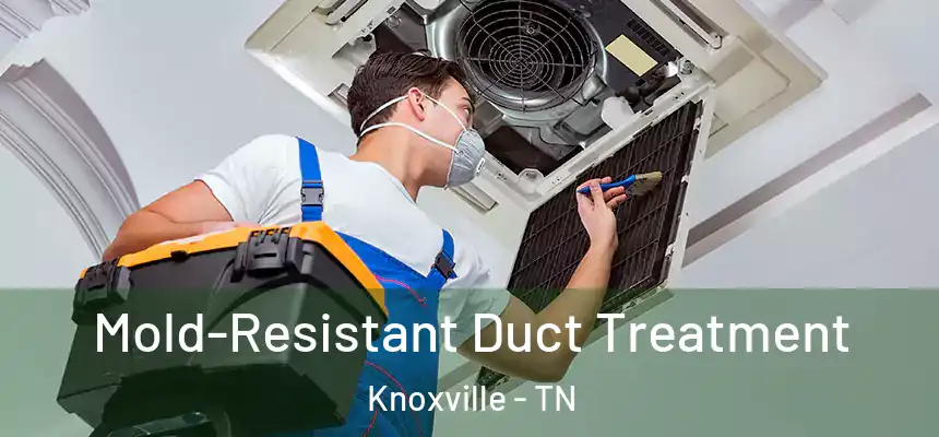  Mold-Resistant Duct Treatment Knoxville - TN