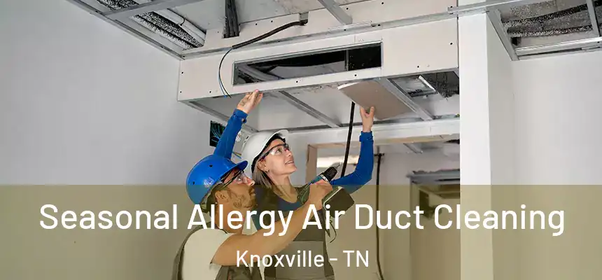  Seasonal Allergy Air Duct Cleaning Knoxville - TN