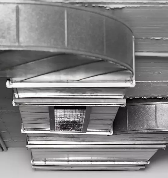 Professional Air Duct Pest Removal in Knoxville, TN