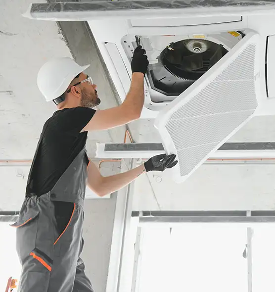 About Air Duct Rodent Removal in Knoxville, TN