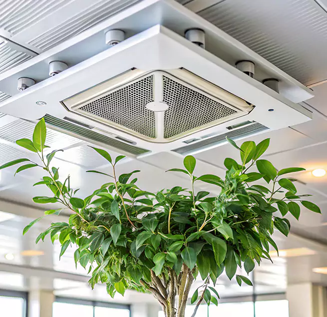 Why Homeowners & Businesses Trust Us in Knoxville, TN?