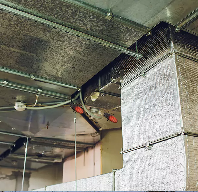 Why Homeowners & Businesses Trust Us Knoxville, TN?