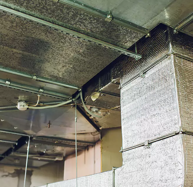 Why Homeowners & Businesses Trust Us in Knoxville, TN?