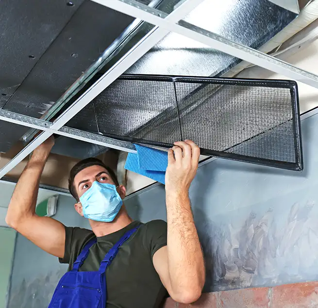 Why Homeowners & Businesses Trust Us in Knoxville, TN?